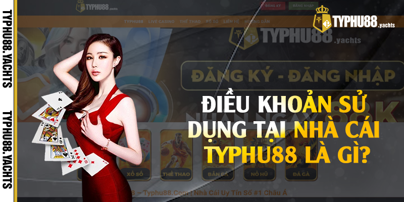 Điều khoản sử dụng tại nhà cái Typhu88 là gì?
